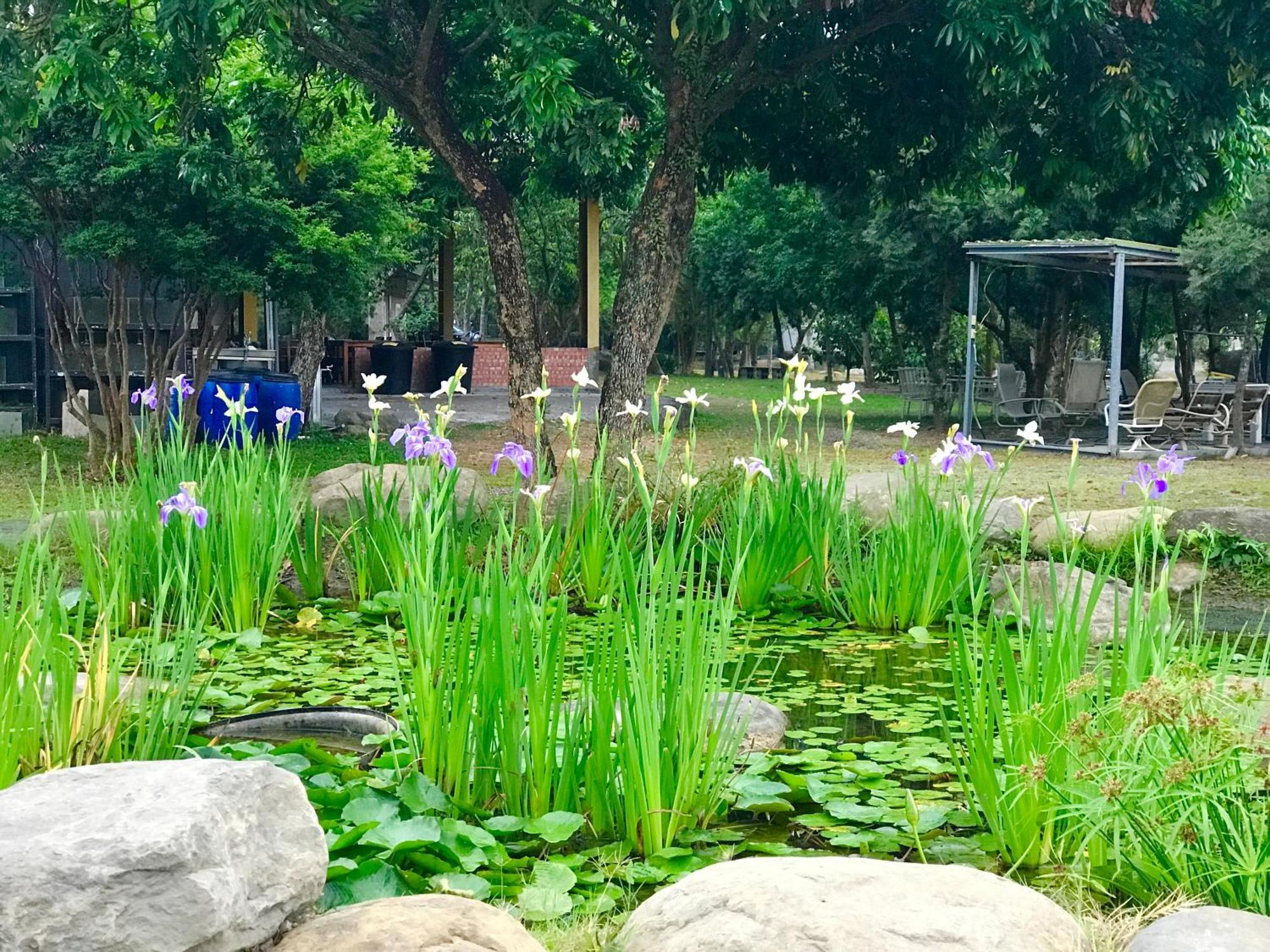 嘉義竹崎白樹腳驛棧萬坪生態包棟烤肉親子民宿 Fujin Extérieur photo
